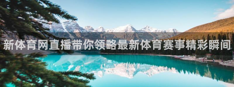 新体育网直播带你领略最新体育赛事精彩瞬间